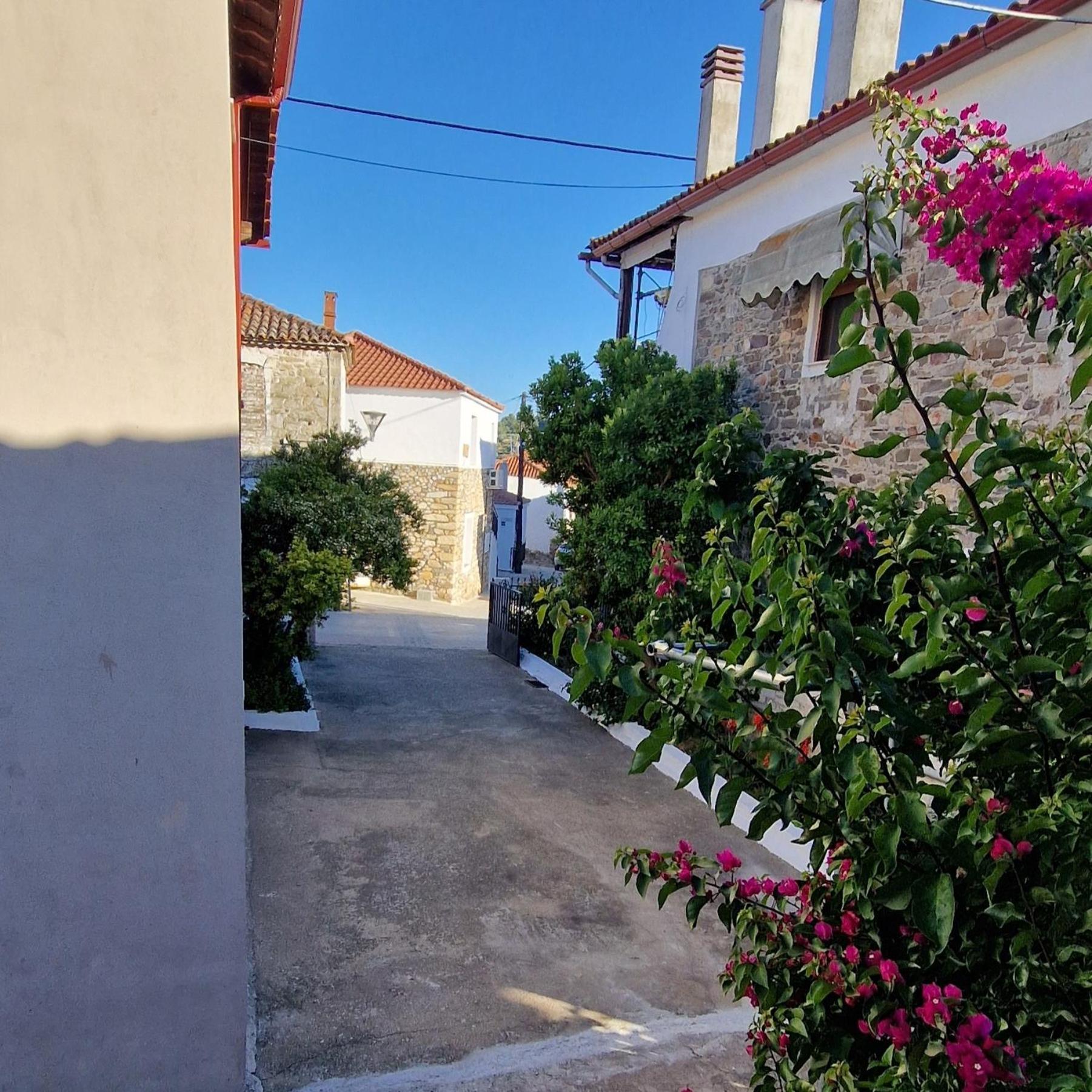 Nikolaos House Apartment Agios Nikolaos  Exterior foto