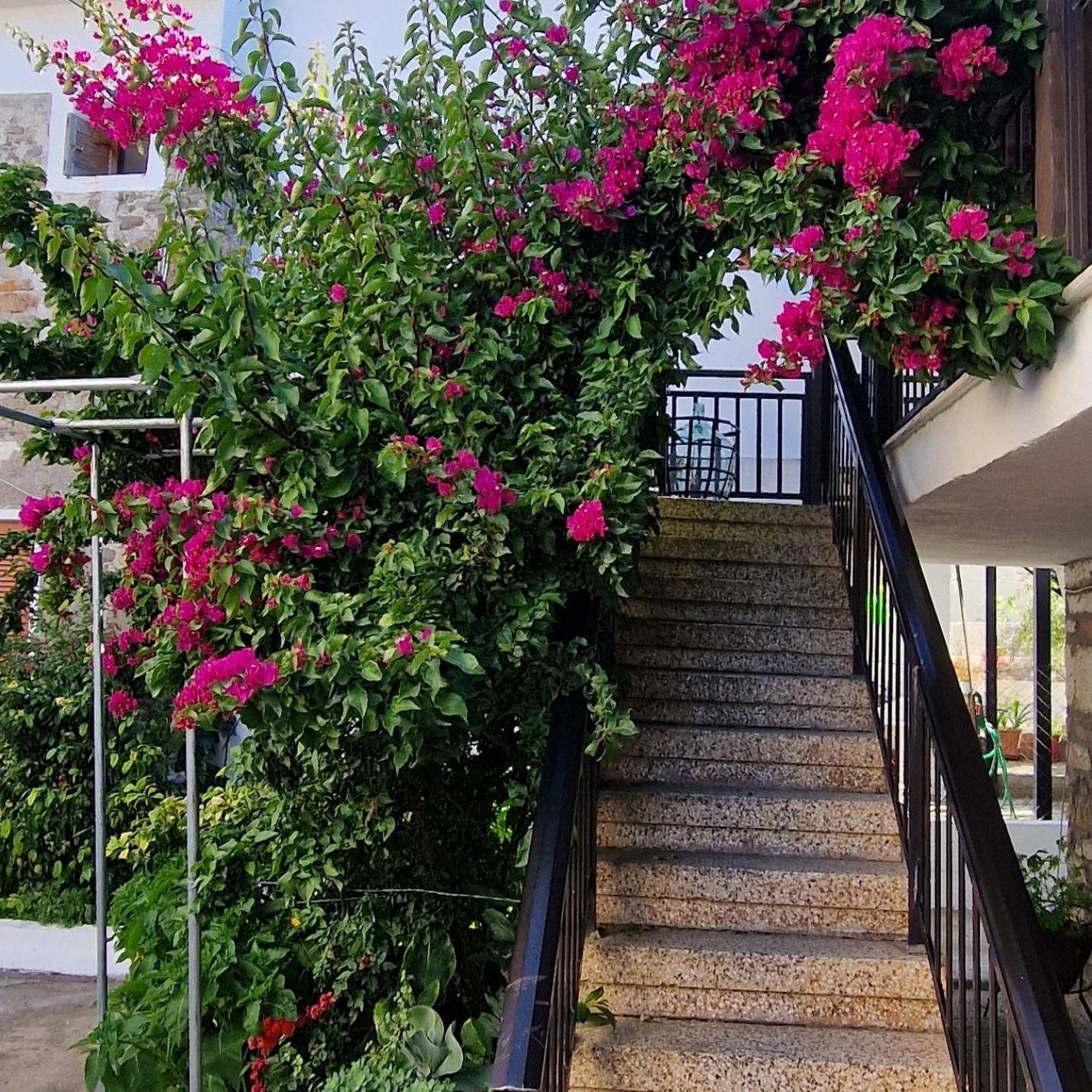 Nikolaos House Apartment Agios Nikolaos  Exterior foto